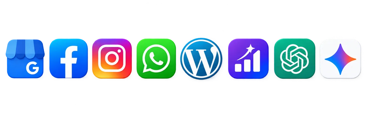 Automate and rank across Google Business, Facebook, Instagram, WhatsApp, WordPress and more